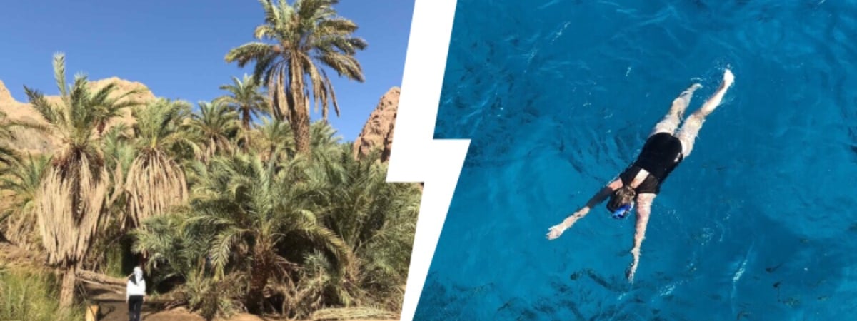 Куда могут поехать отдыхать белорусы летом 2025 года? Турагент раскрыла все направления и цены — Полезно