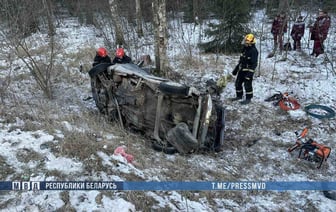 Жуткое ДТП на Минщине: легковушка врезалась в дерево, погибли трое человек