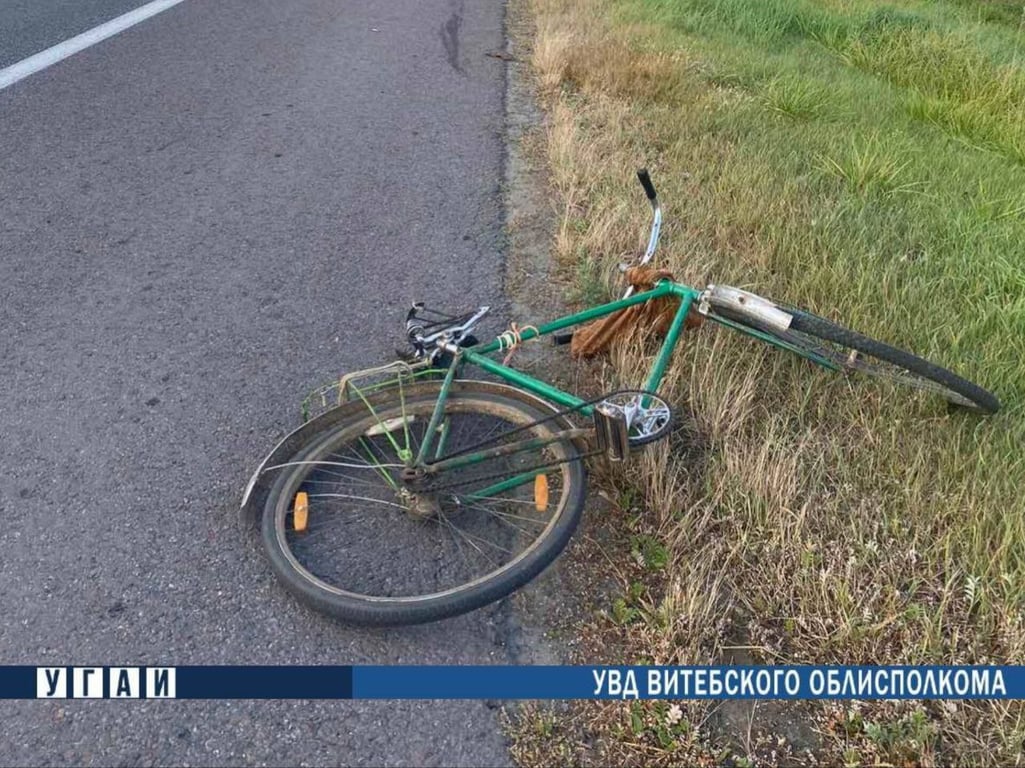 В Оршанском районе фура задавила велосипедиста. Фото ГАИ