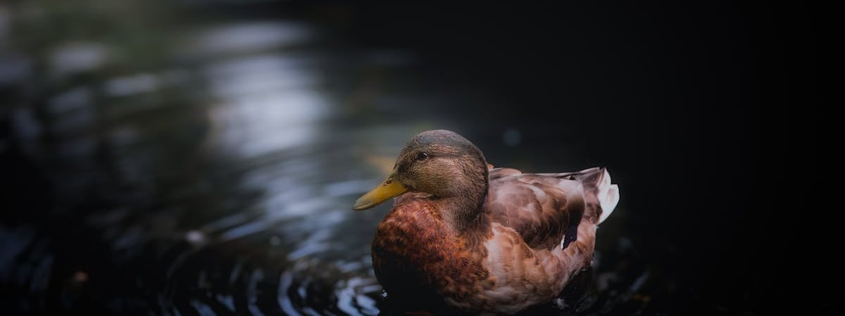 Швеция готовит крупную инвестицию в производство Украиной своего дальнобойного оружия