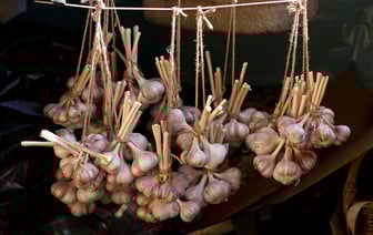 Посыпьте чеснок этим продуктом — и он пролежит до следующего лета. Как хранить? — Полезно