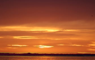 В Беларуси раскрыто двойное убийство, которое произошло четверть века назад