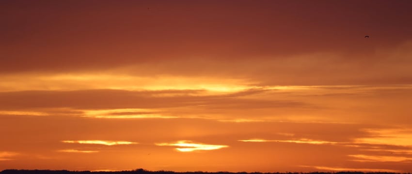 В Беларуси раскрыто двойное убийство, которое произошло четверть века назад