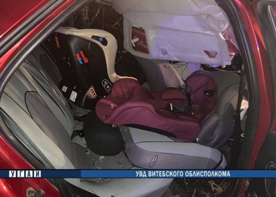 Мама с двумя детьми на «Citroen Xsara» врезалась в лося в Россонском районе