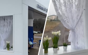 «Имитация комнаты» — В Могилеве поставили остановку с окном и занавеской. «Оригинально» или «безвкусно»? — Видео