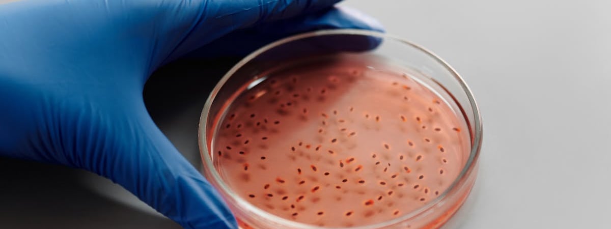 Приговоренного к 23 годам колонии «рельсового партизана» обвиняют в злостном неповиновении администрации колонии