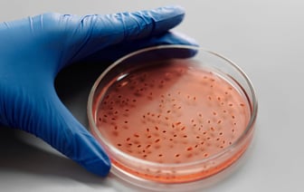 Приговоренного к 23 годам колонии «рельсового партизана» обвиняют в злостном неповиновении администрации колонии