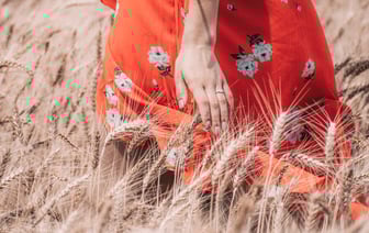 В Молдове сумма штрафов за подкуп избирателей уже превышает €300 тысяч