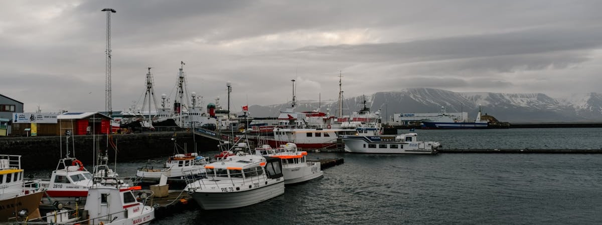 Порты Европы отгоняют подозрительное судно с российской селитрой