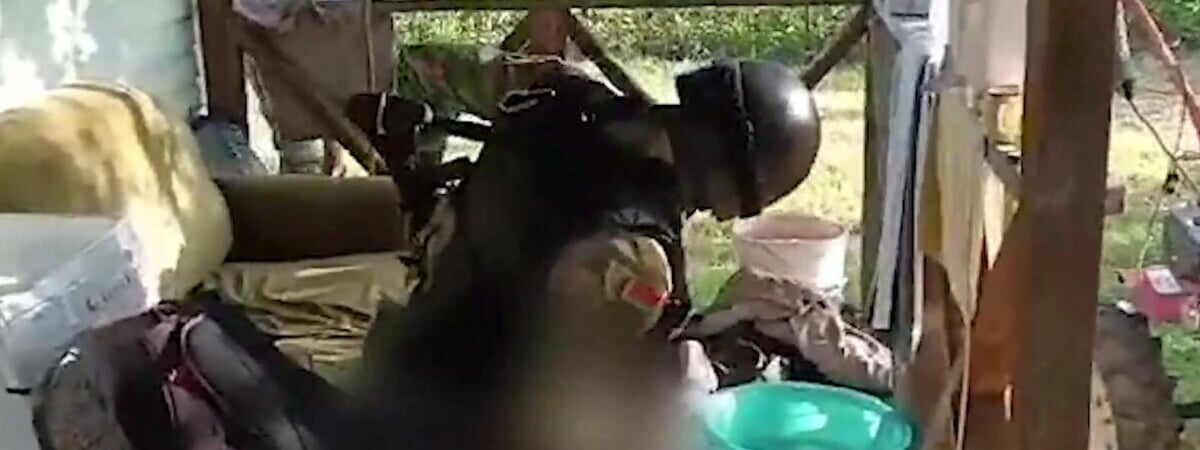 ГУБОПиК обвинил белоруса сразу в экстремизме и вымогательстве. Это как?