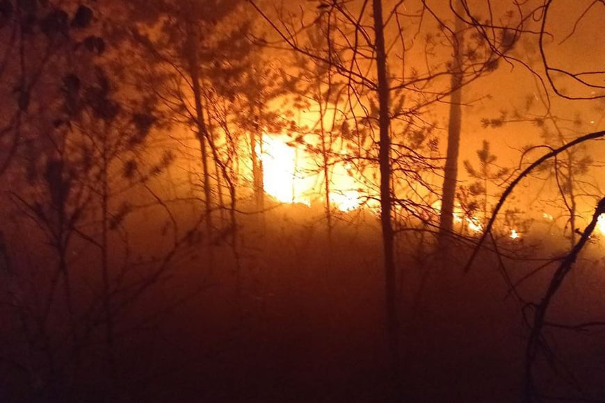 Работники лесной охраны рассказали, как справлялись с бушующим огнем в Полесском лесхозе