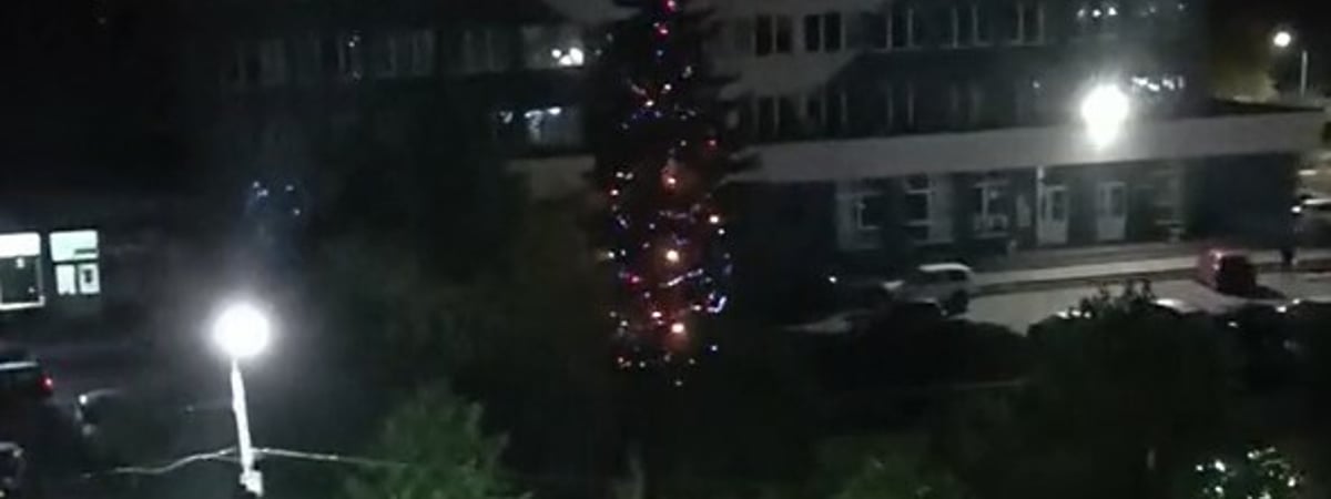 «Это вместо отопления» — В Новополоцке включили гирлянды на городской новогодней елке в октябре — Видео