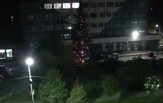 «Это вместо отопления» — В Новополоцке включили гирлянды на городской новогодней елке в октябре — Видео