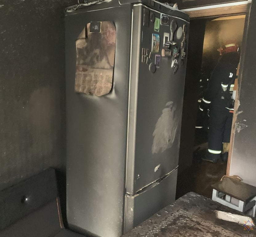 Кот спас хозяина от смерти на пожаре в Слониме