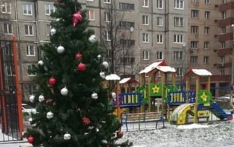 Можно ли во дворе многоэтажки установить ёлку? Пояснила адвокат