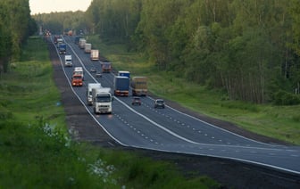 До 6 лет тюрьмы. В ГАИ предупредили белорусских водителей об ответственности за «незаконную охоту» на дорогах