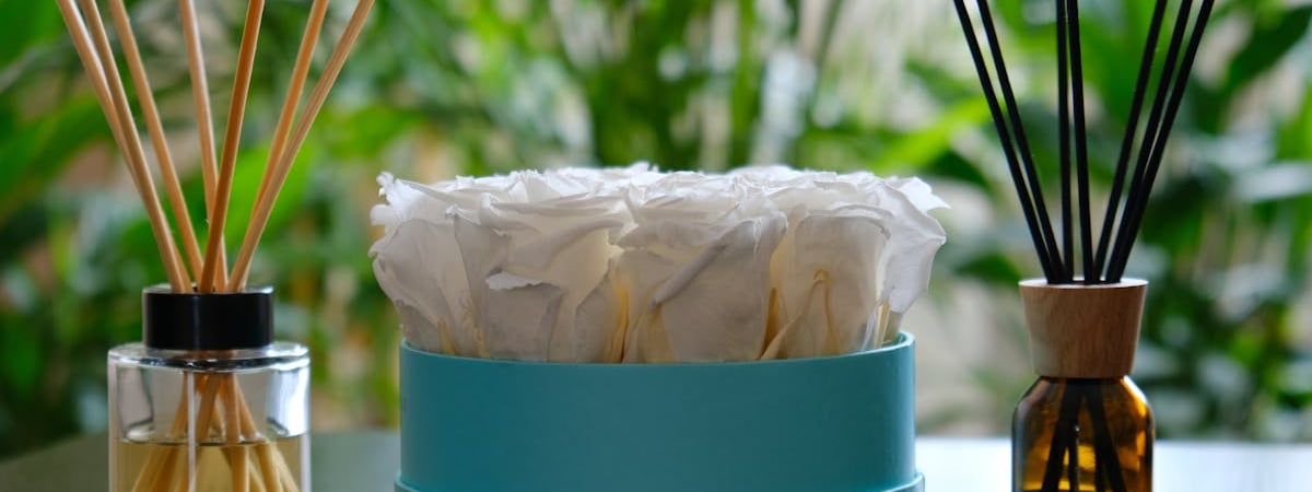 Поставки нефти по трубопроводу «Дружба» в Беларусь восстановили