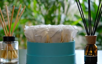 Поставки нефти по трубопроводу «Дружба» в Беларусь восстановили