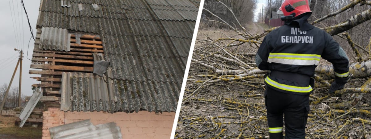 Штормовой ветер повредил крыши домов и школ на Могилёвщине, без света оставались 223 деревень и посёлков по всей Беларуси — Фото