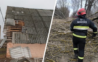 Штормовой ветер повредил крыши домов и школ на Могилёвщине, без света оставались 223 деревень и посёлков по всей Беларуси — Фото
