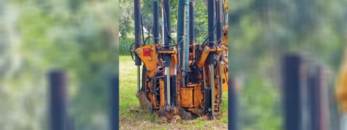 Способ пересадки дерева за 1 минуту набрал в TikTok 30 млн просмотров. Но есть нюанс — Видео