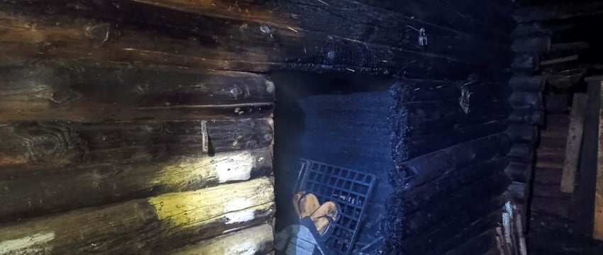 Собаки, которые увидели пожар и подняли лай ранним утром, спасли хозяев от трагедии в Быховском районе