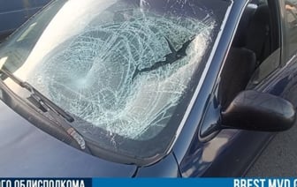 В Бресте 19-летний бесправник сбил пешехода