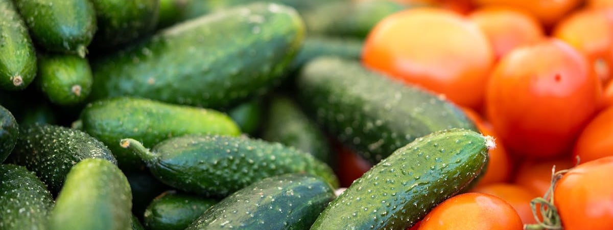 Израиль прекратил пропускать гуманитарную помощь в сектор Газа