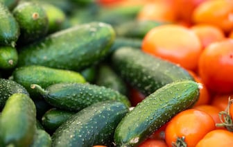 Израиль прекратил пропускать гуманитарную помощь в сектор Газа