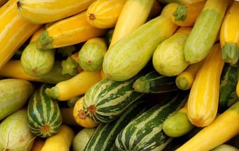 Не спешите выбрасывать кабачок: врач рассказала о полезных свойствах этого овоща