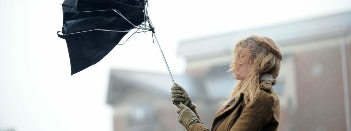 До 100 км/ч. Белгидромет объявил оранжевый уровень опасности на 2 апреля из-за штормового ветра