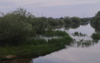 Трагедия в Жлобине: утонули двое подростков