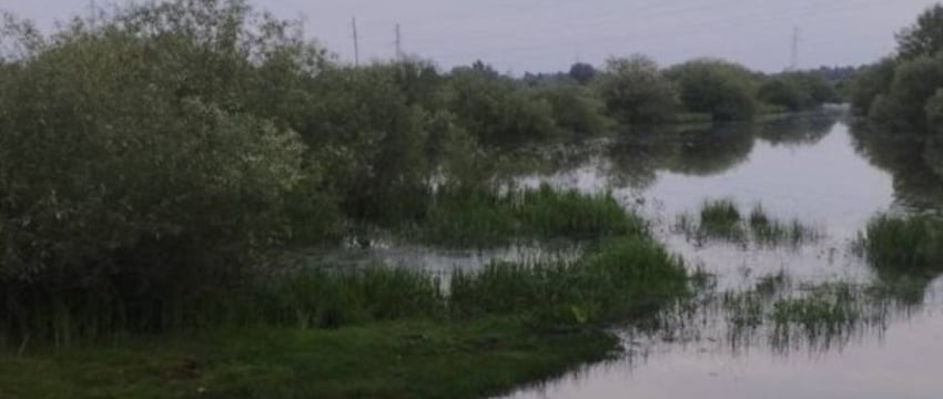 Трагедия в Жлобине: утонули двое подростков