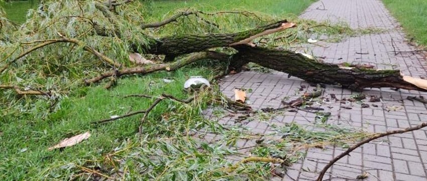 Транспорт перестал ездить в Минске и 900 населенных пунктов лишились света из-за урагана