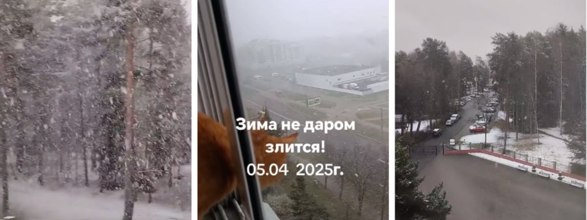 «Носите с собой зонт и лыжи» — Белорусы показали апрельские «оранжевые» метели, а синоптики — где выпадет до 20 см снега — Видео