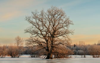 В Эстонии во втором чтении одобрили законопроект, лишающий граждан Беларуси голоса на местных выборах