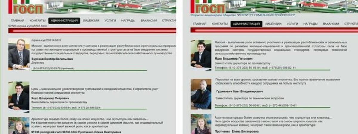 «Флагшток»: Руководителя провластной партии в Гомельской области задерживали за лайки в соцсетях, а потом убрали со всех постов