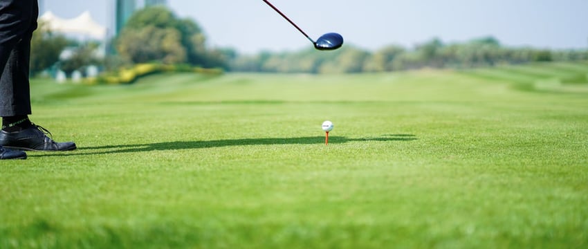 «Это было незабываемо». Полочане поделились фотографиями с празднования Купалья