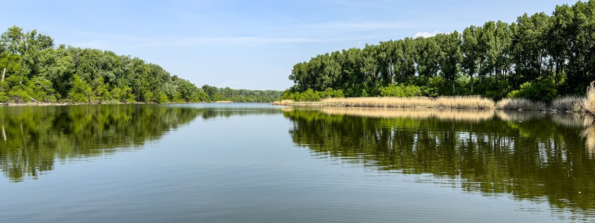 Крупнейший банк Венгрии нарастил прибыль благодаря бизнесу в России