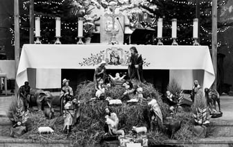 Польша планирует завершить укрепление стены на границе с Беларусью летом 2025 года