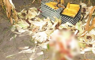 Житель Лунинецкого района застрелил соседа, приняв его за дикого зверя. СК рассказал подробности