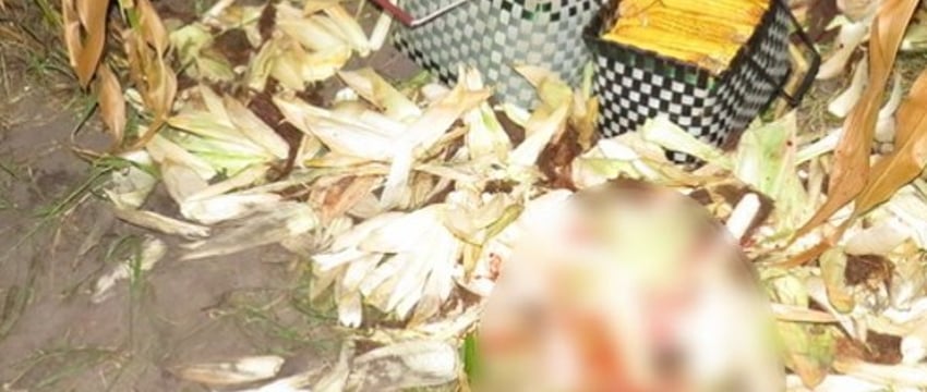 Житель Лунинецкого района застрелил соседа, приняв его за дикого зверя. СК рассказал подробности