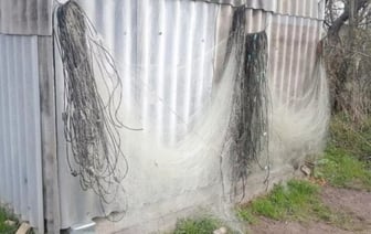 Браконьерский рекорд: незаконная рыбалка обошлась почти в 90 тыс. рублей