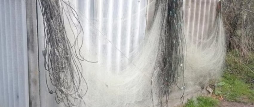 Браконьерский рекорд: незаконная рыбалка обошлась почти в 90 тыс. рублей