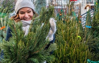 Стало известно, где в Гродно появятся елочные базары (список адресов)