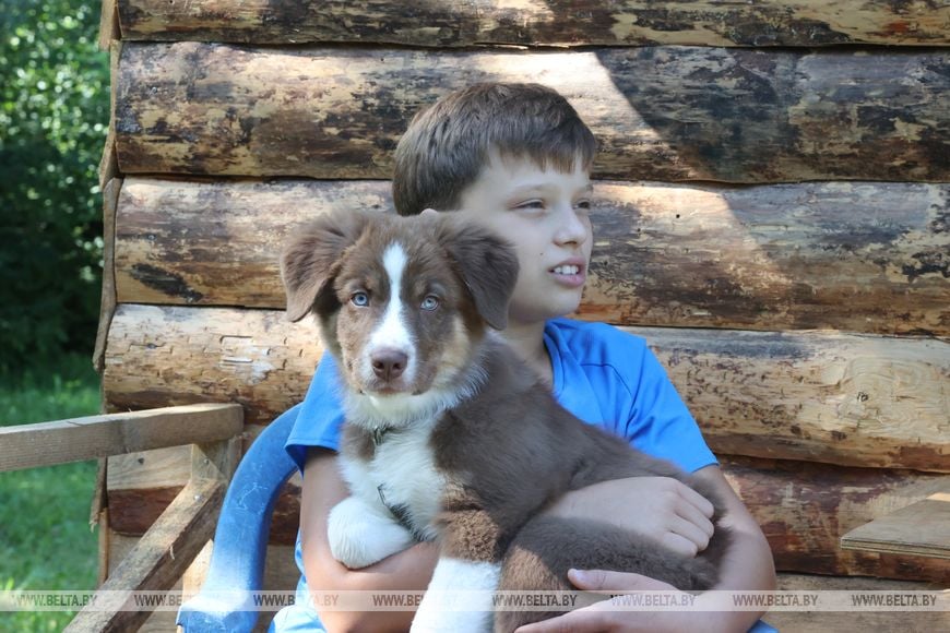 Как 12-летний белорус за 10 дней сам построил дом на даче