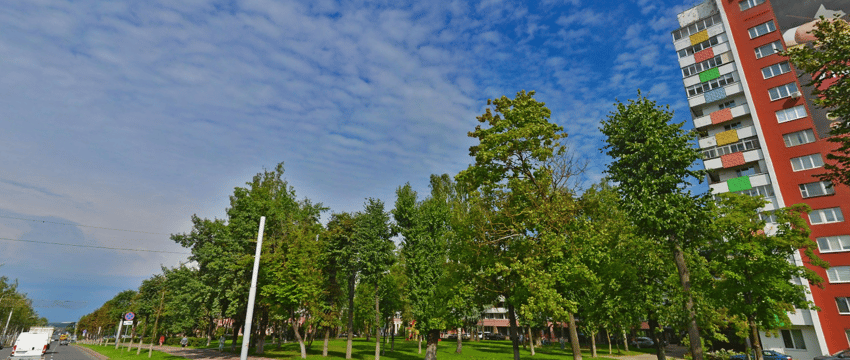 Грандиозное благоустройство в Витебске ожидает сквер возле «Богатыря». Смета превышает 3,2 млн. руб.