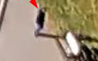 Более 100 рублей ушли на алкоголь из оставленной на скамейке сумки. Случай в Брестской области