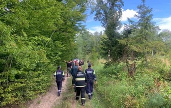 В Щучинском районе искали ребенка, который пропал в лесу