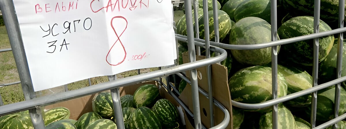 Лукашенко призвал выращивать в Беларуси новые фрукты. Что предложил на Гомельщине, кроме арбузов и винограда?